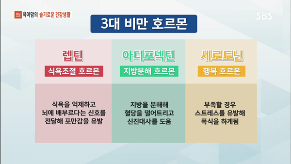 0809 sbs 모닝와이드3부.mp4_002274438.png