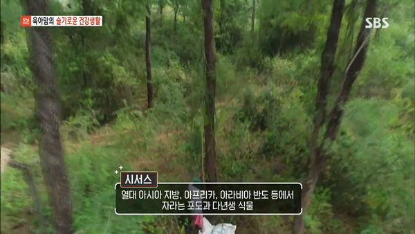 0809 sbs 모닝와이드3부.mp4_002548946.png