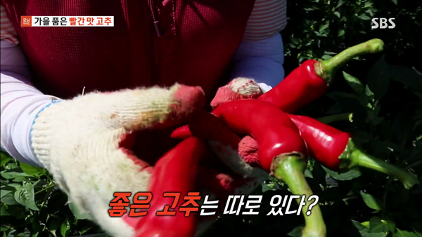 0.mp4_002014145.png
