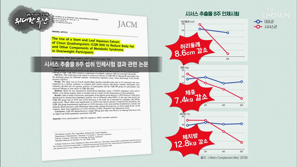 1019_TV조선 위대한유산, 비만호르몬.mp4_003207837.png