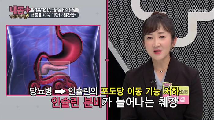 20191103_TV조선 내몸플러스_내몸의 혈당.mp4_000314380.png