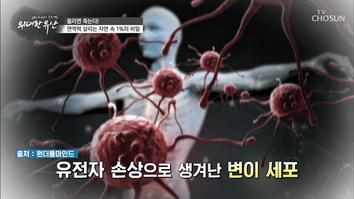 20191221_TV조선 위대한유산 면역력.mp4_000685352.png