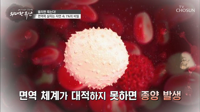 20191221_TV조선 위대한유산 면역력.mp4_000688288.png