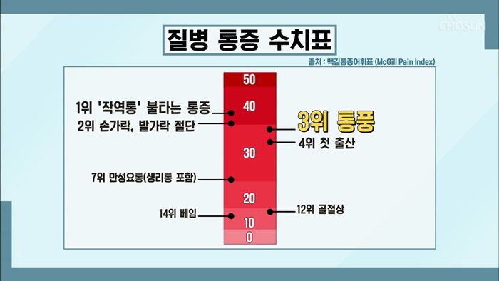 20191221_TV조선 위대한유산 면역력.mp4_001454120.png
