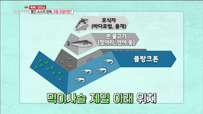20200107_MBC 생방송 오늘 저녁  내장지방.mp4_003130443.png