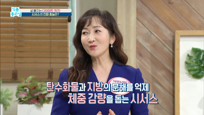 20200204_MBC 기분좋은날 뷰티쇼 동안비법.mp4_002612392.png