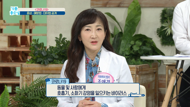 20200213 MBC 기분좋은날 영양제.mp4_000172354.png