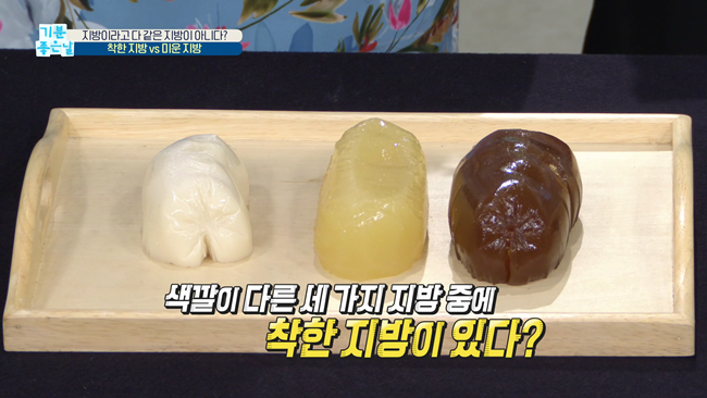 20200228 MBC 기분좋은날 요요없는 갈색지방태우기.mp4_000231231.png