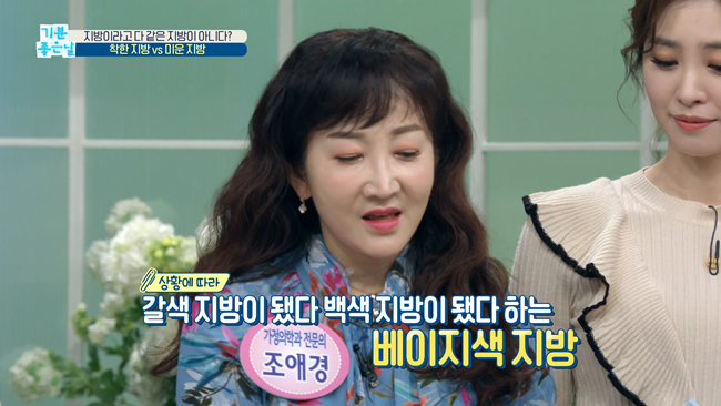 20200228 MBC 기분좋은날 요요없는 갈색지방태우기.mp4_000335802.png