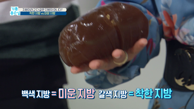 20200228 MBC 기분좋은날 요요없는 갈색지방태우기.mp4_000298831.png