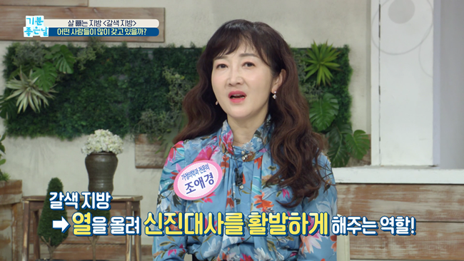 20200228 MBC 기분좋은날 요요없는 갈색지방태우기.mp4_000443643.png
