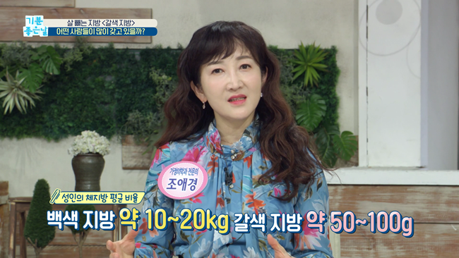 20200228 MBC 기분좋은날 요요없는 갈색지방태우기.mp4_000535635.png