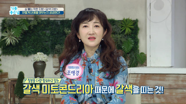 20200228 MBC 기분좋은날 요요없는 갈색지방태우기.mp4_000707773.png