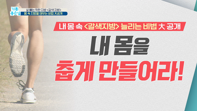 20200228 MBC 기분좋은날 요요없는 갈색지방태우기.mp4_000840439.png