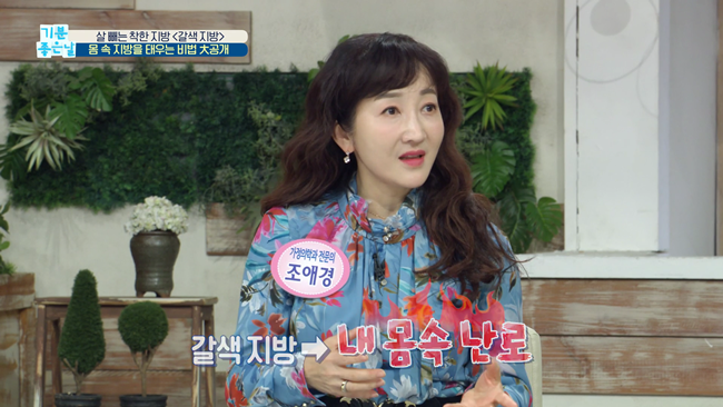 20200228 MBC 기분좋은날 요요없는 갈색지방태우기.mp4_000850049.png
