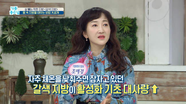 20200228 MBC 기분좋은날 요요없는 갈색지방태우기.mp4_000890022.png