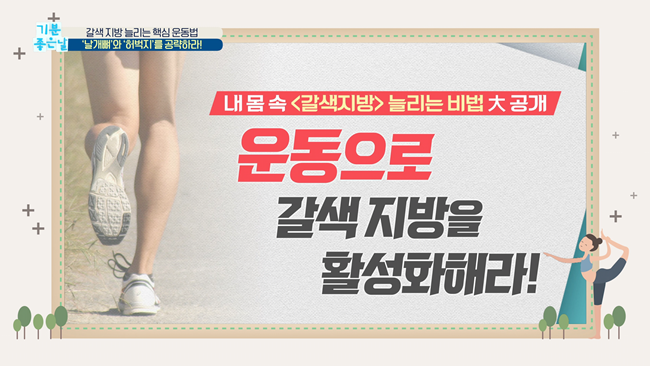 20200228 MBC 기분좋은날 요요없는 갈색지방태우기.mp4_001396328.png
