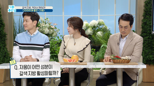 20200228 MBC 기분좋은날 요요없는 갈색지방태우기.mp4_002295192.png