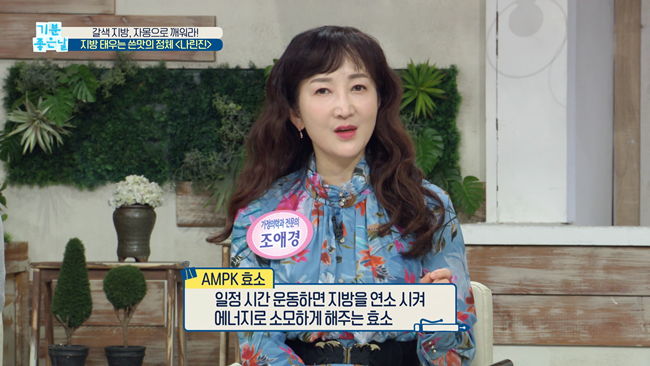 20200228 MBC 기분좋은날 요요없는 갈색지방태우기.mp4_002389954.png