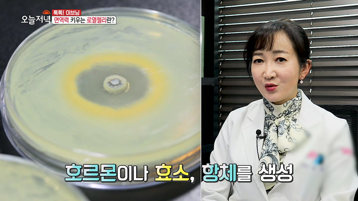 20200326 MBC 생방송오늘저녁 면역력을 지켜라 인터뷰.mp4_003301765.png