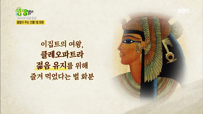 20200420 KBS2TV 생생정보 벌화분.mp4_000360393.png