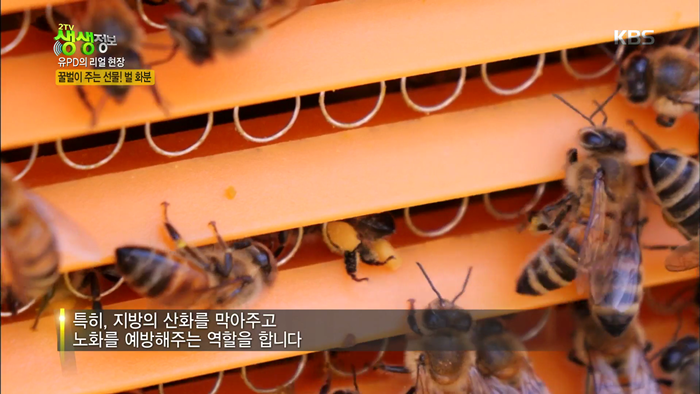 20200420 KBS2TV 생생정보 벌화분.mp4_000374507.png